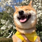 Avatar Fátima Camacho